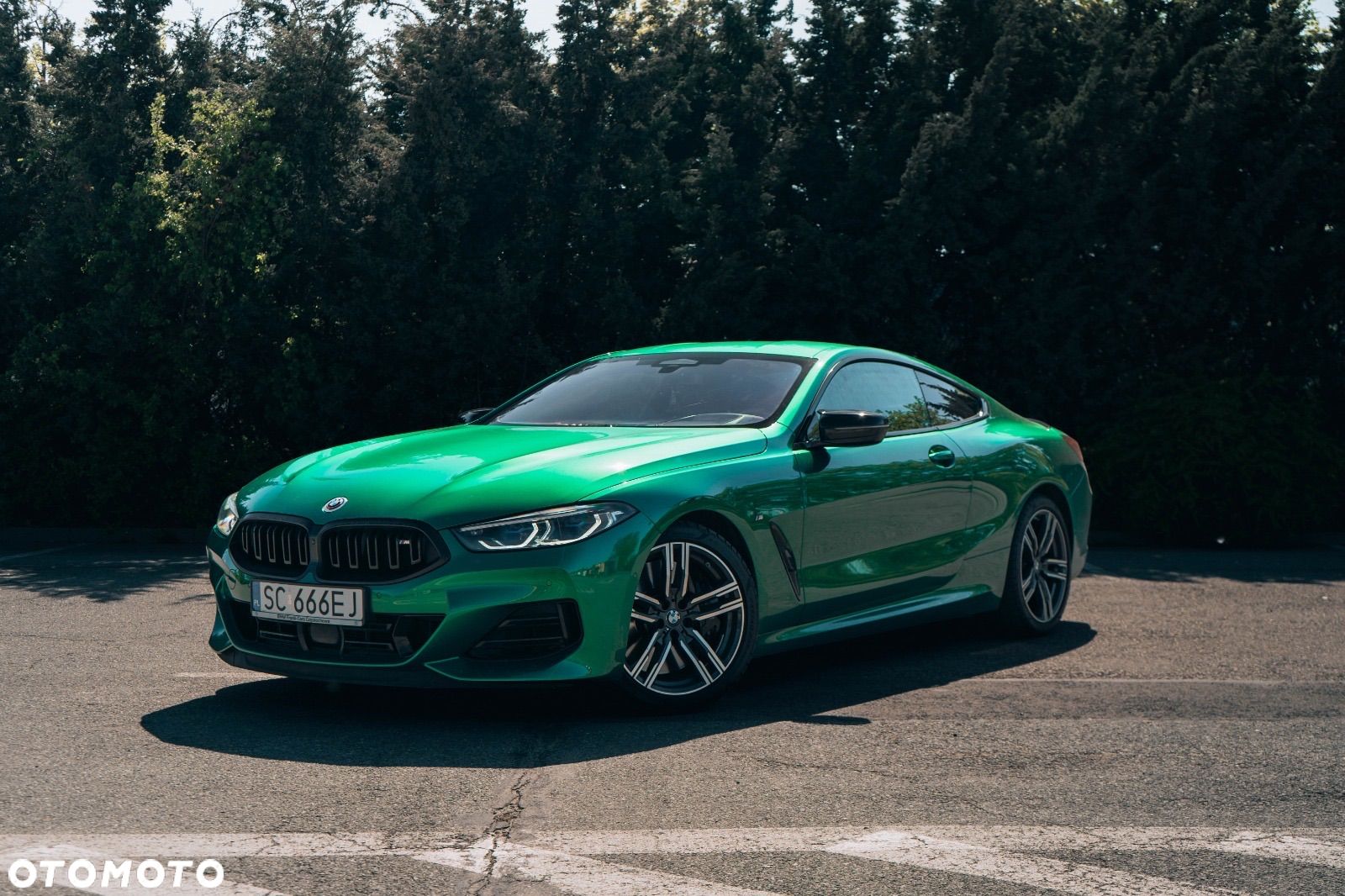 BMW Seria 8 M850i xDrive - 1