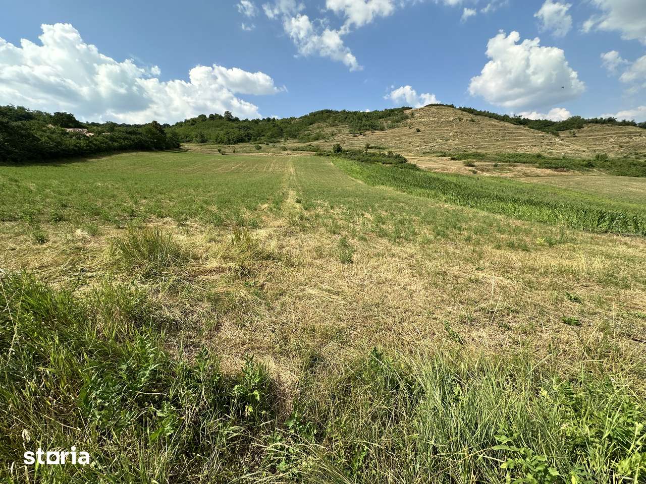 Terenuri intravilane DE VÂNZARE
Strada Lebedei Târnăveni - Imagine principală: 5/7