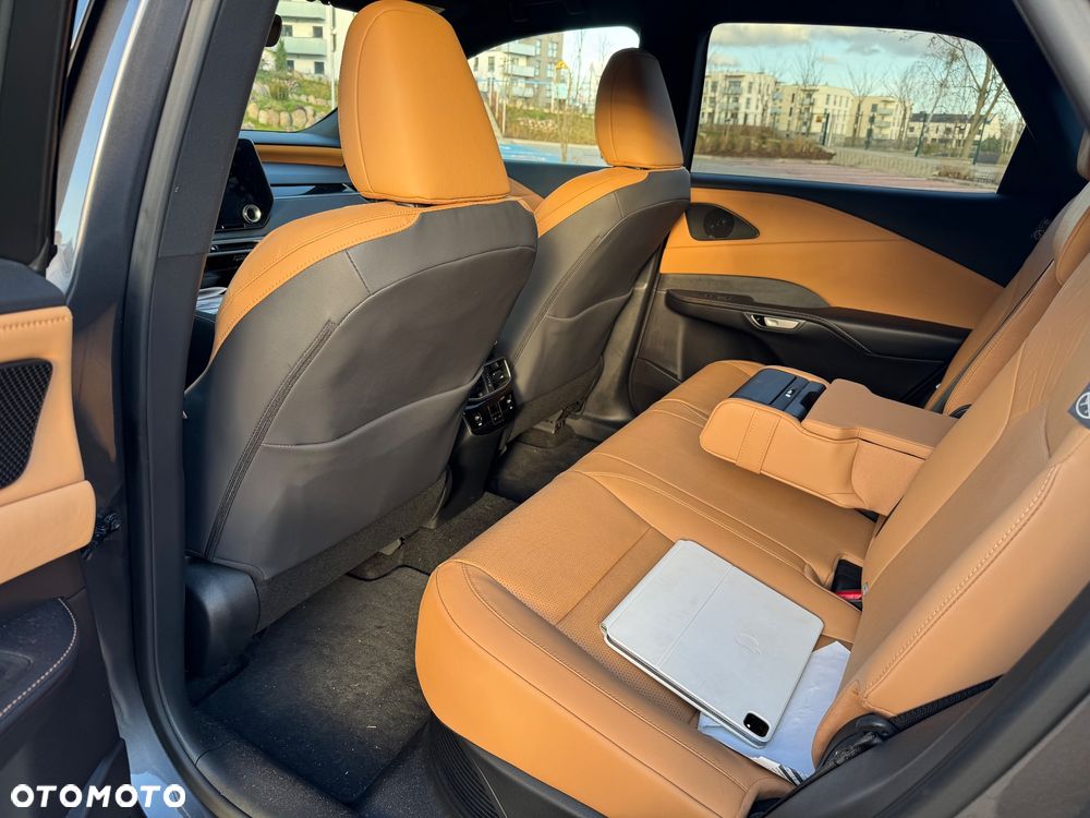 Lexus RX 350h F Sport Design - 13