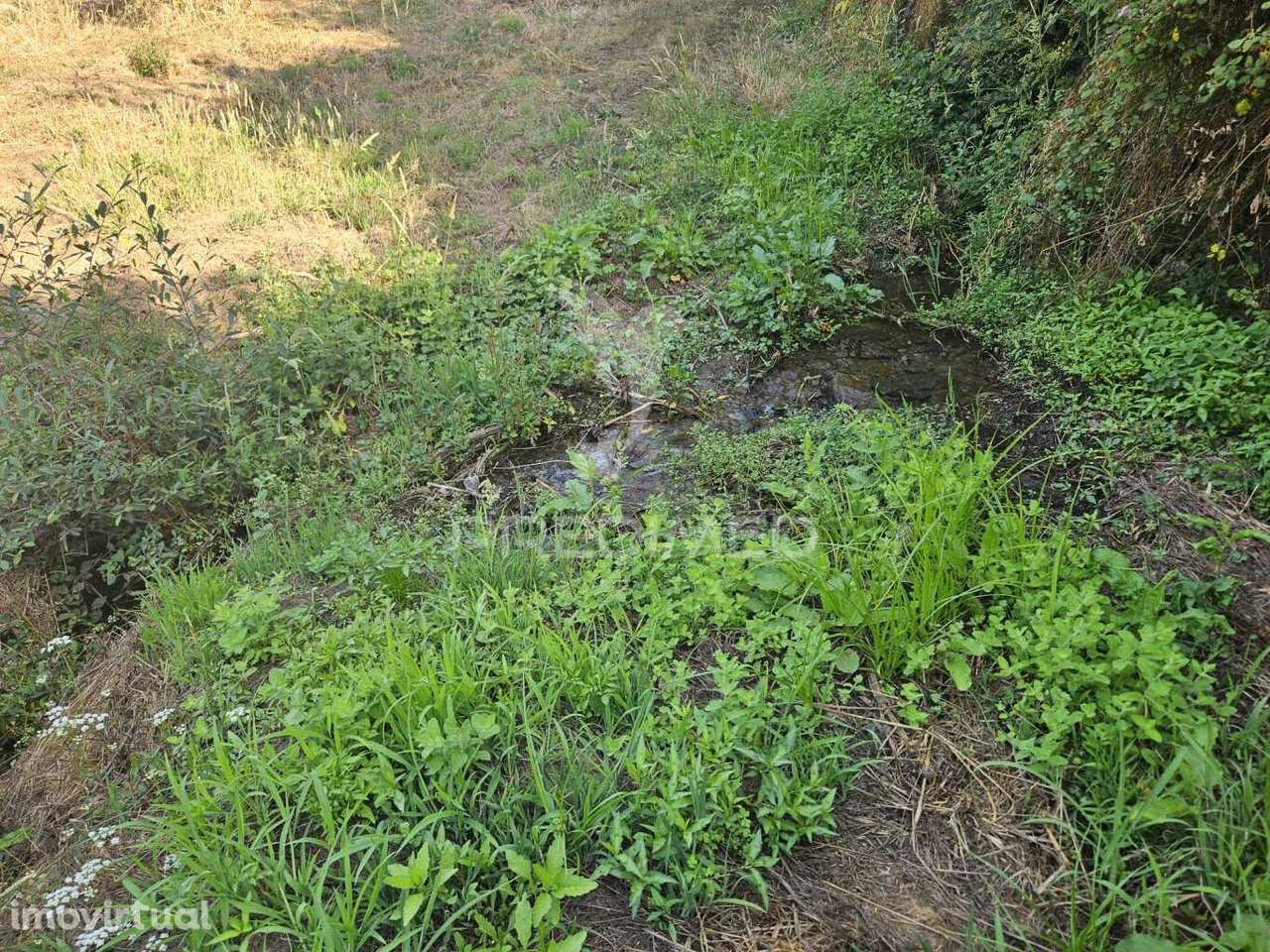 Moagem à venda junto a Ribeira - Grande imagem: 4/11