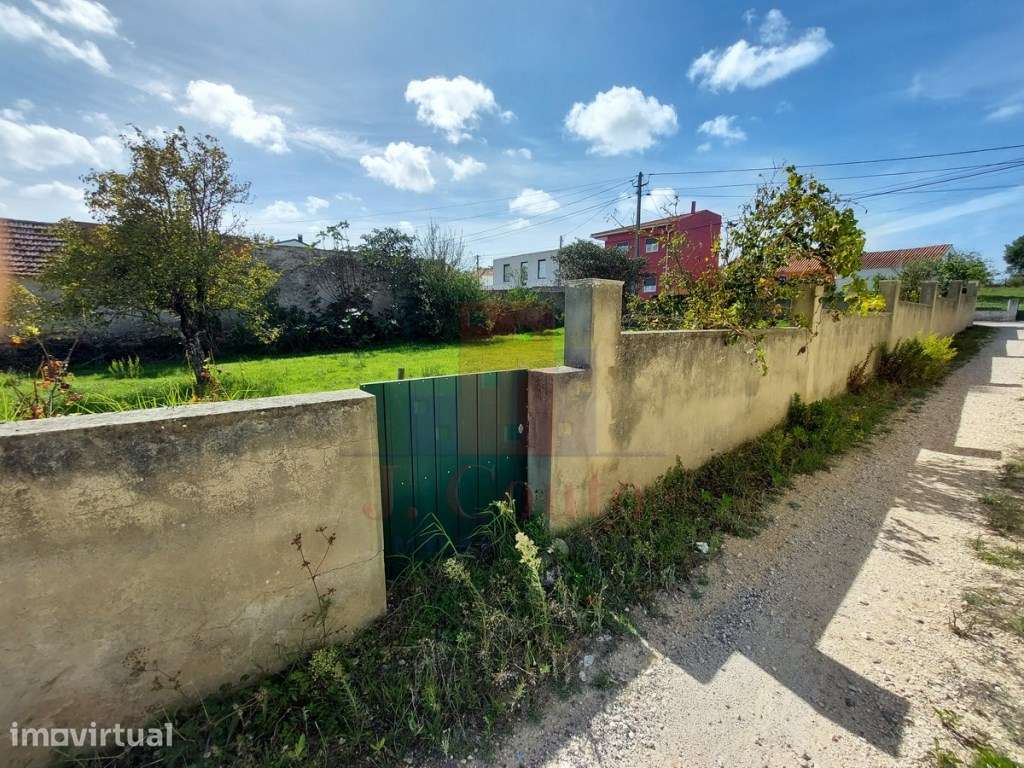 Terreno no Campo, Caldas da Rainha - Grande imagem: 5/32