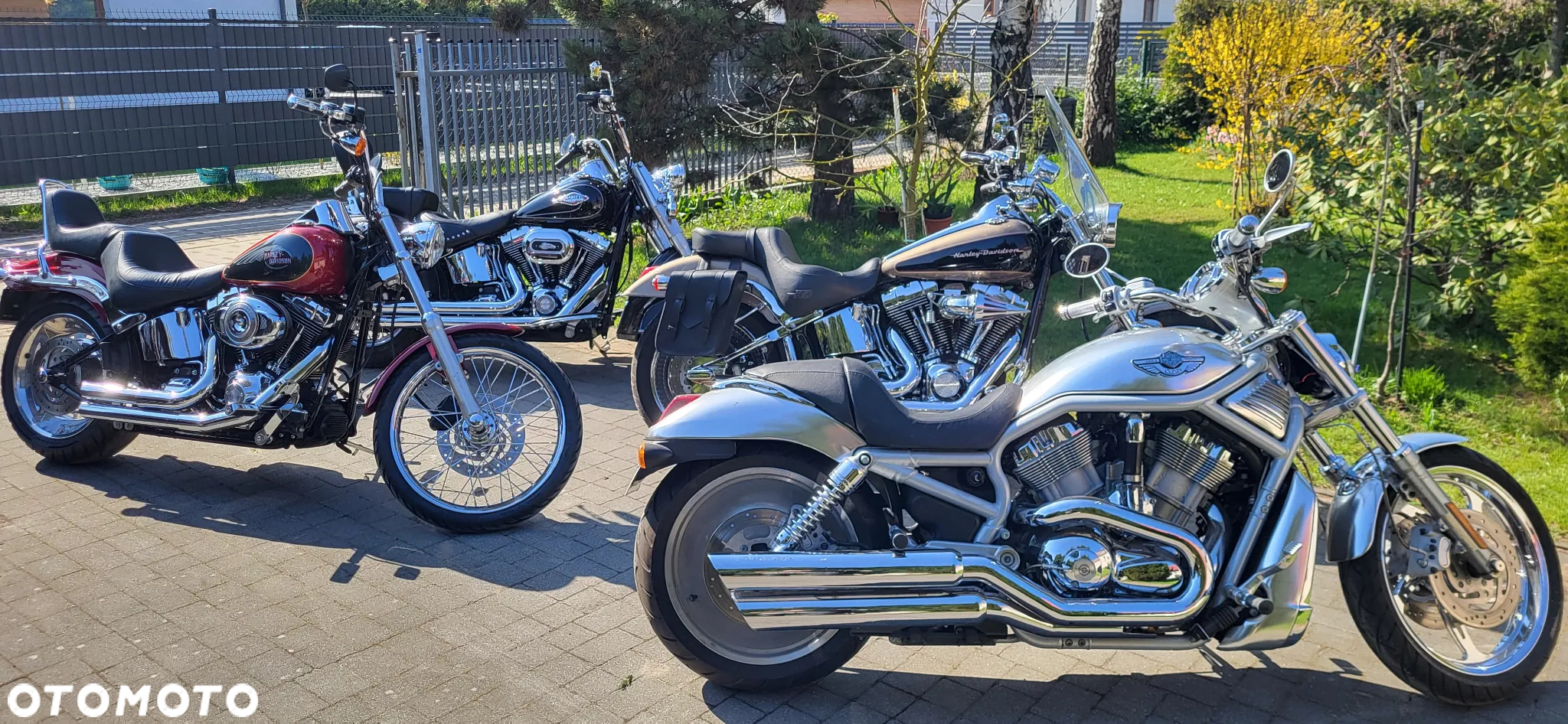Harley-Davidson V-Rod Street Rod - 11