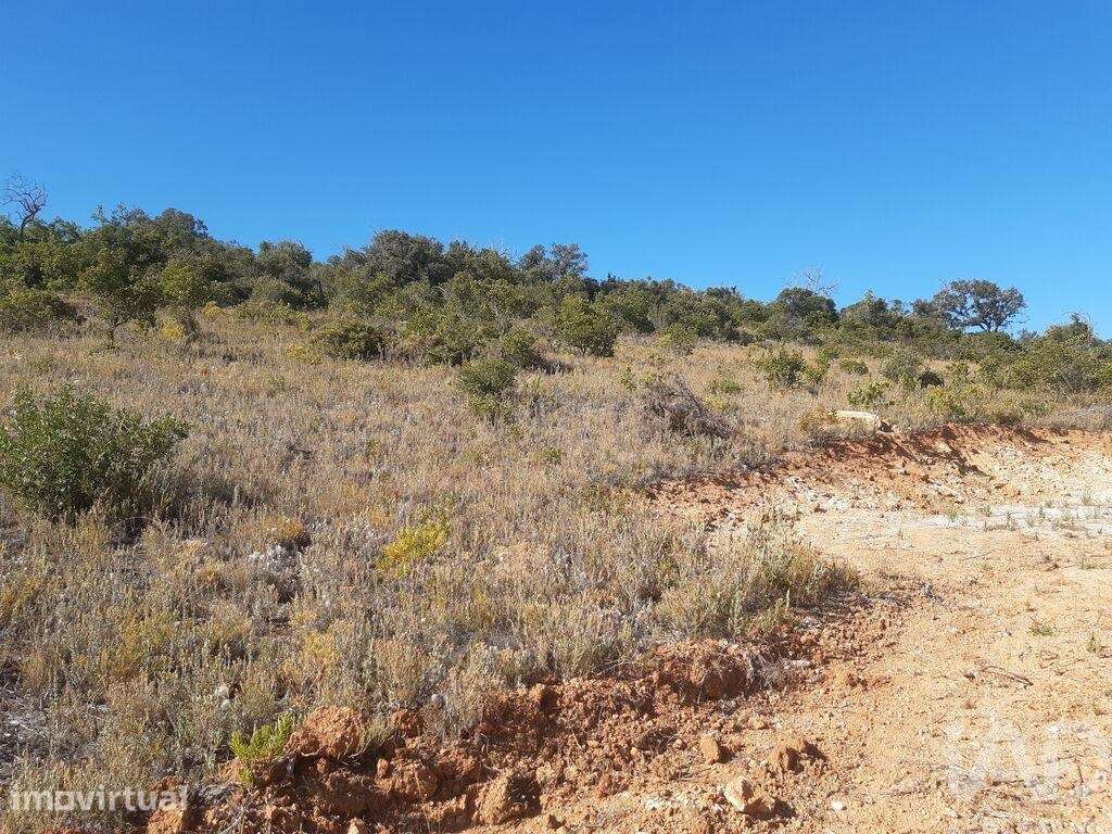 Terreno Agrícola em Paderne - Grande imagem: 5/8