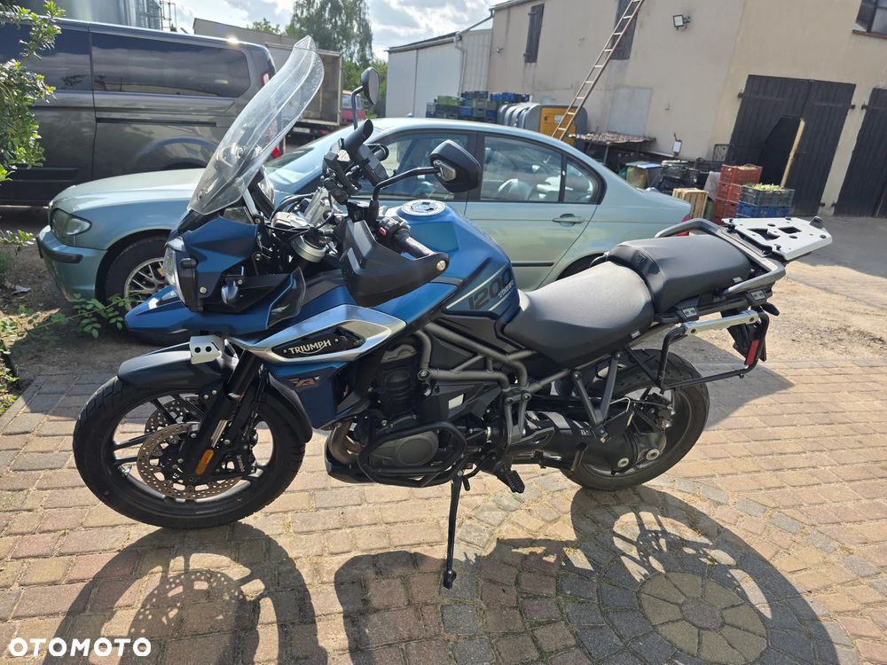 Triumph Tiger - 5