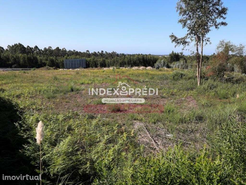 Conjunto de 2 terrenos em Rio Meão, com capacidade de edificação - Grande imagem: 2/6