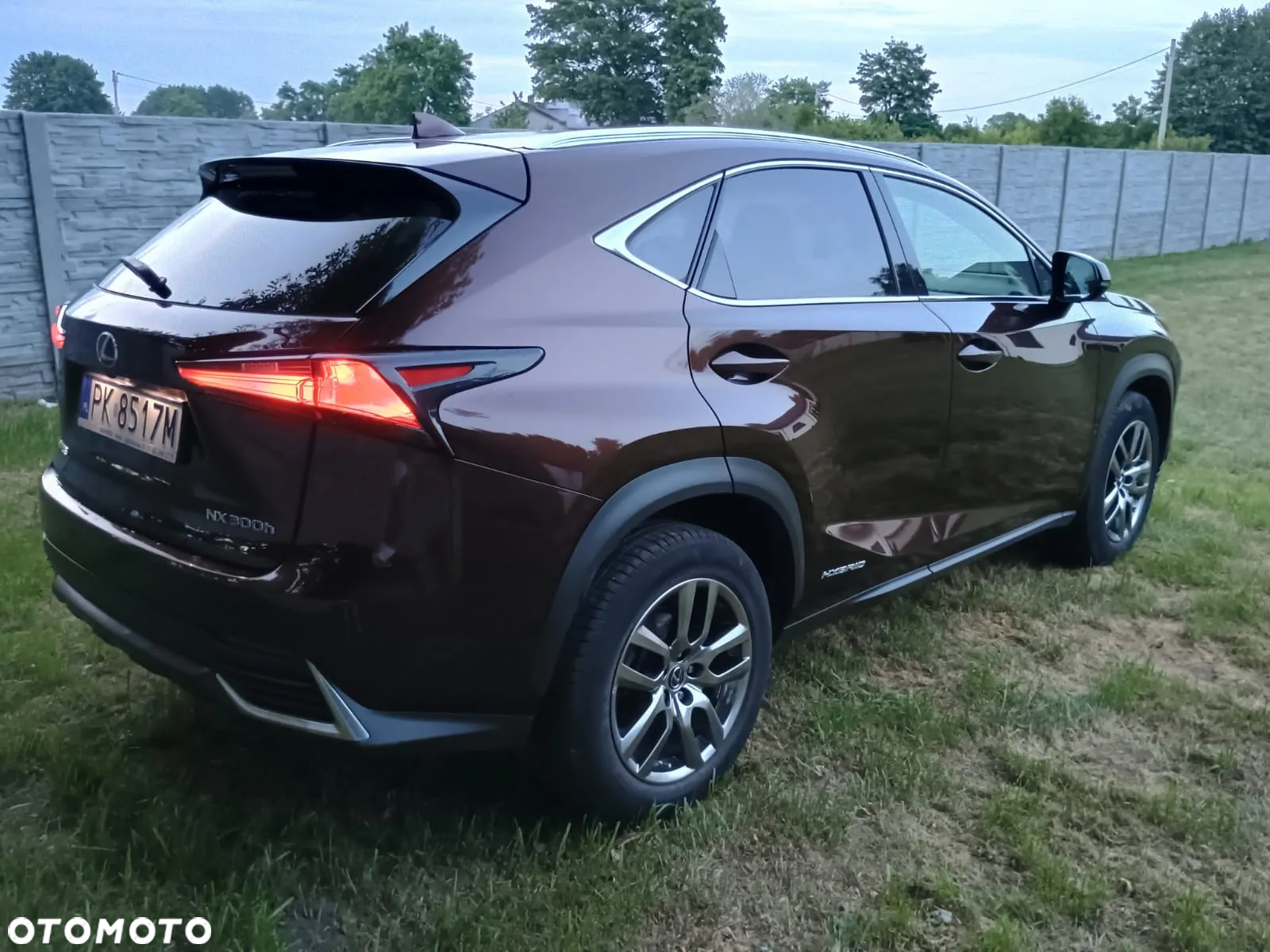 Lexus NX 300h Elegance AWD - 23