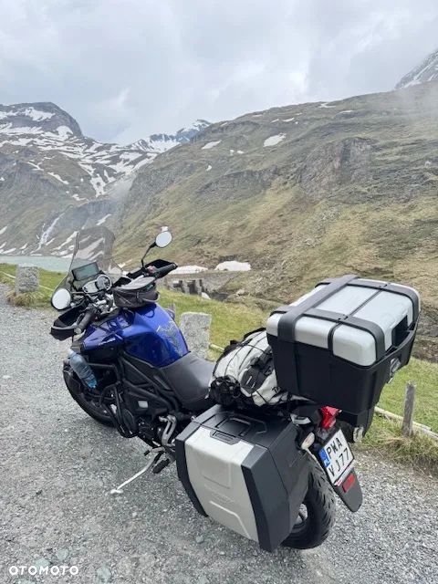 Triumph Tiger - 11