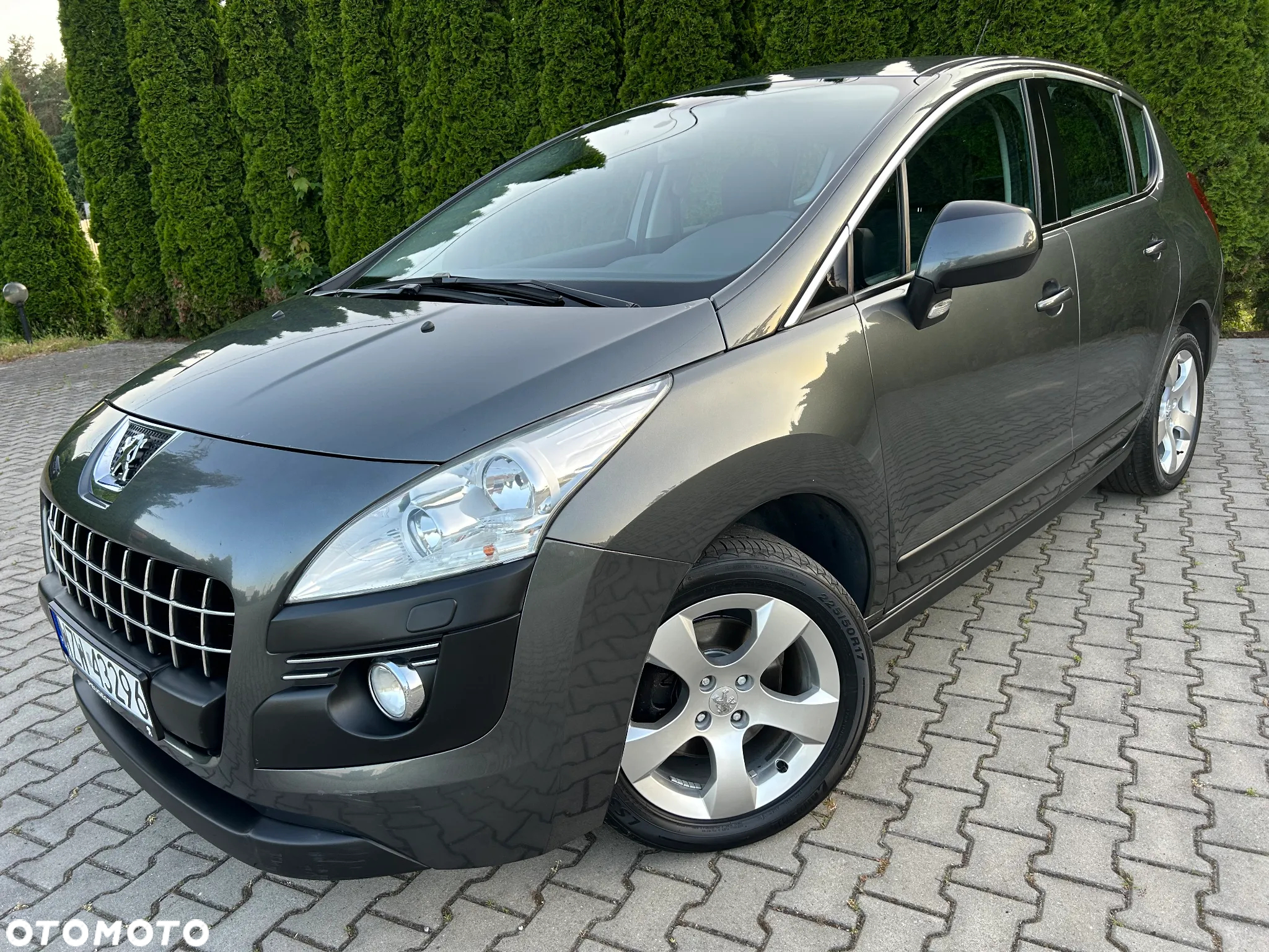 Peugeot 3008 155 THP Platinum - 9
