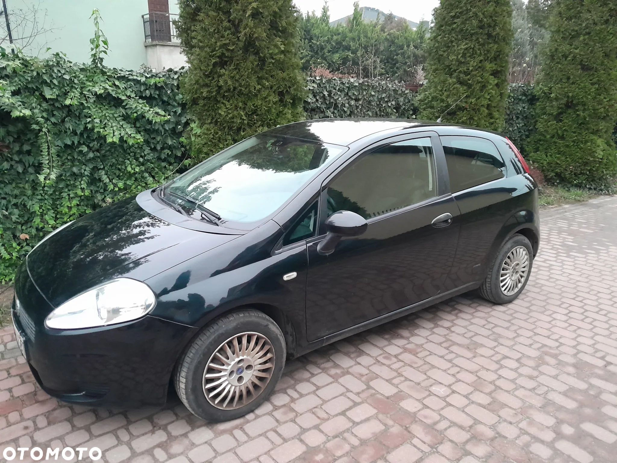 Fiat Punto 1.3 Multijet Easy - 1