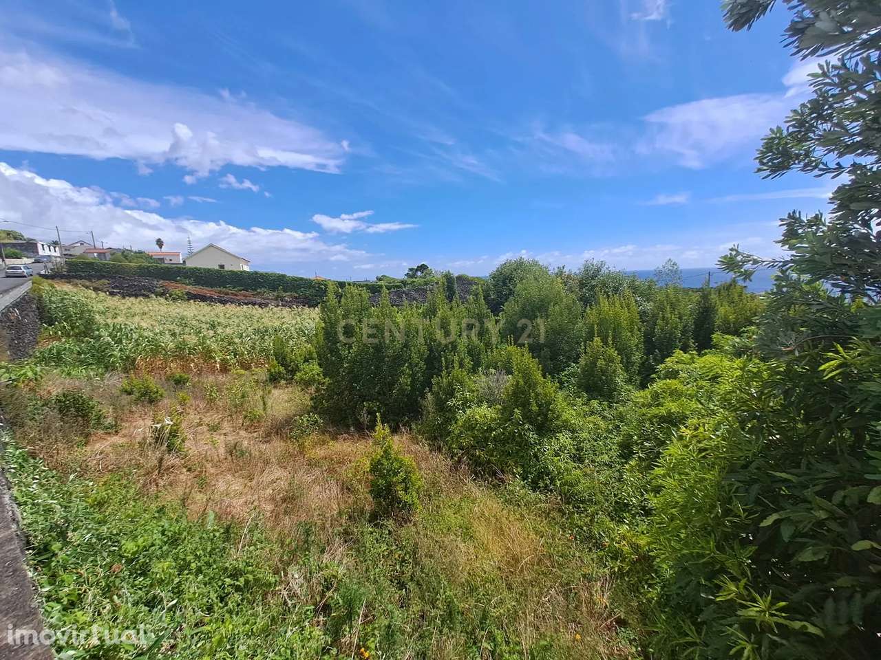 Terreno, 1 936 m², São Mateus - Grande imagem: 5/8