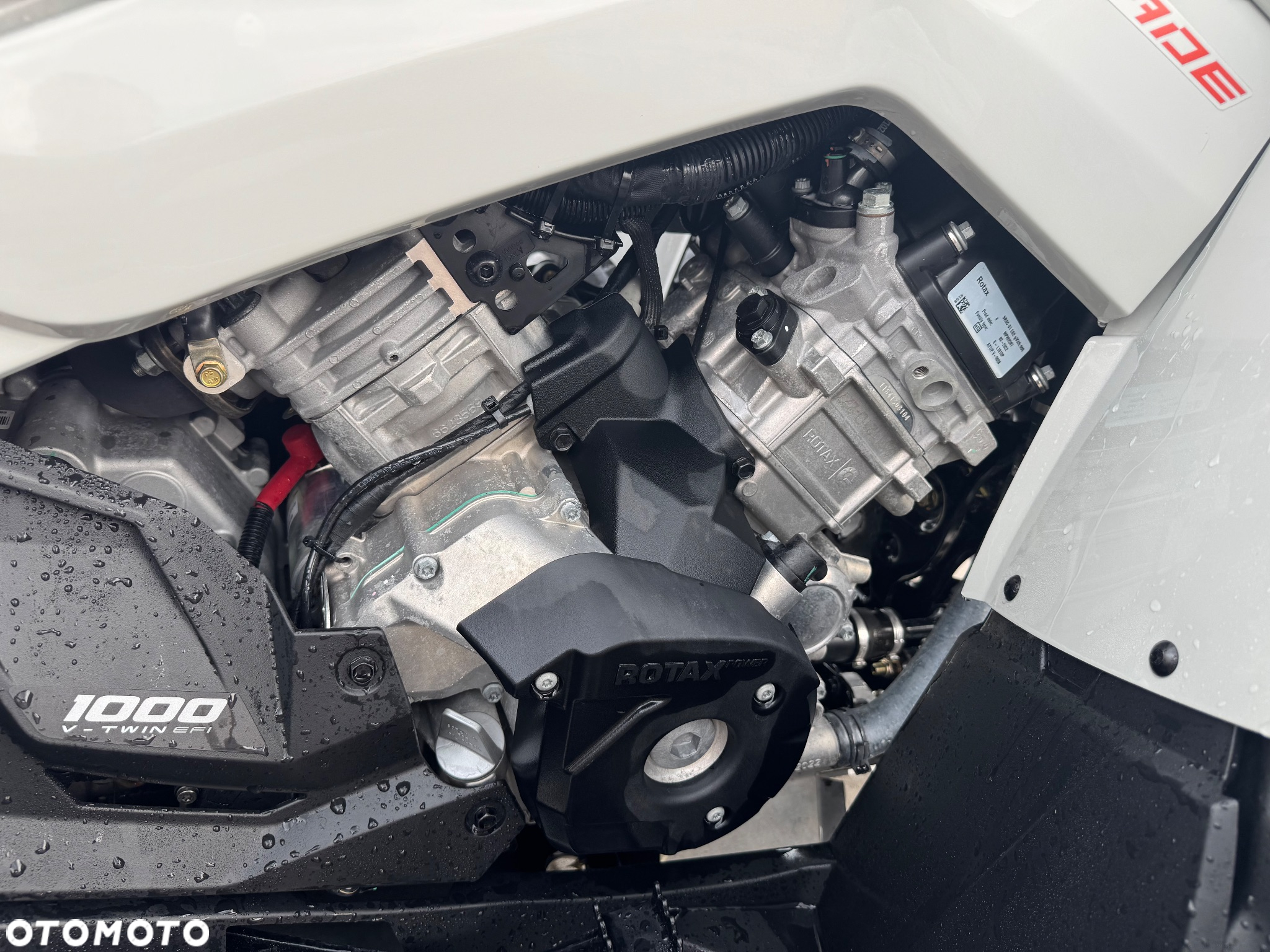 Can-Am Renegade - 20