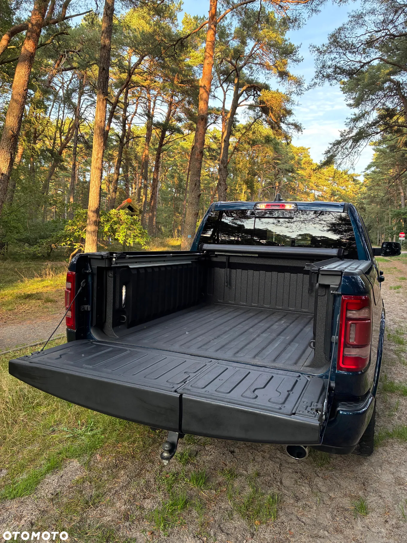 RAM 1500 Crew Cab Limited - 18