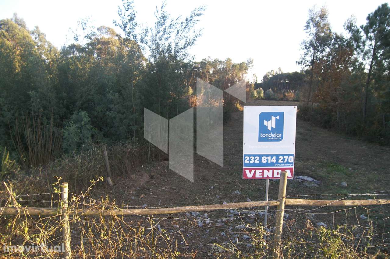 Terreno Para Construção  Venda em Currelos, Papízios e Sobral,Carregal - Grande imagem: 3/9