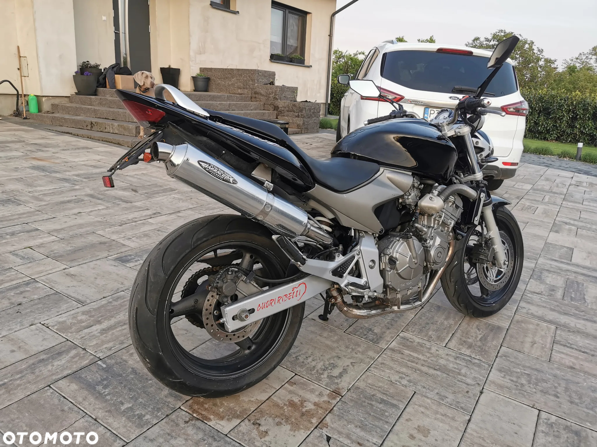 Honda Hornet - 4