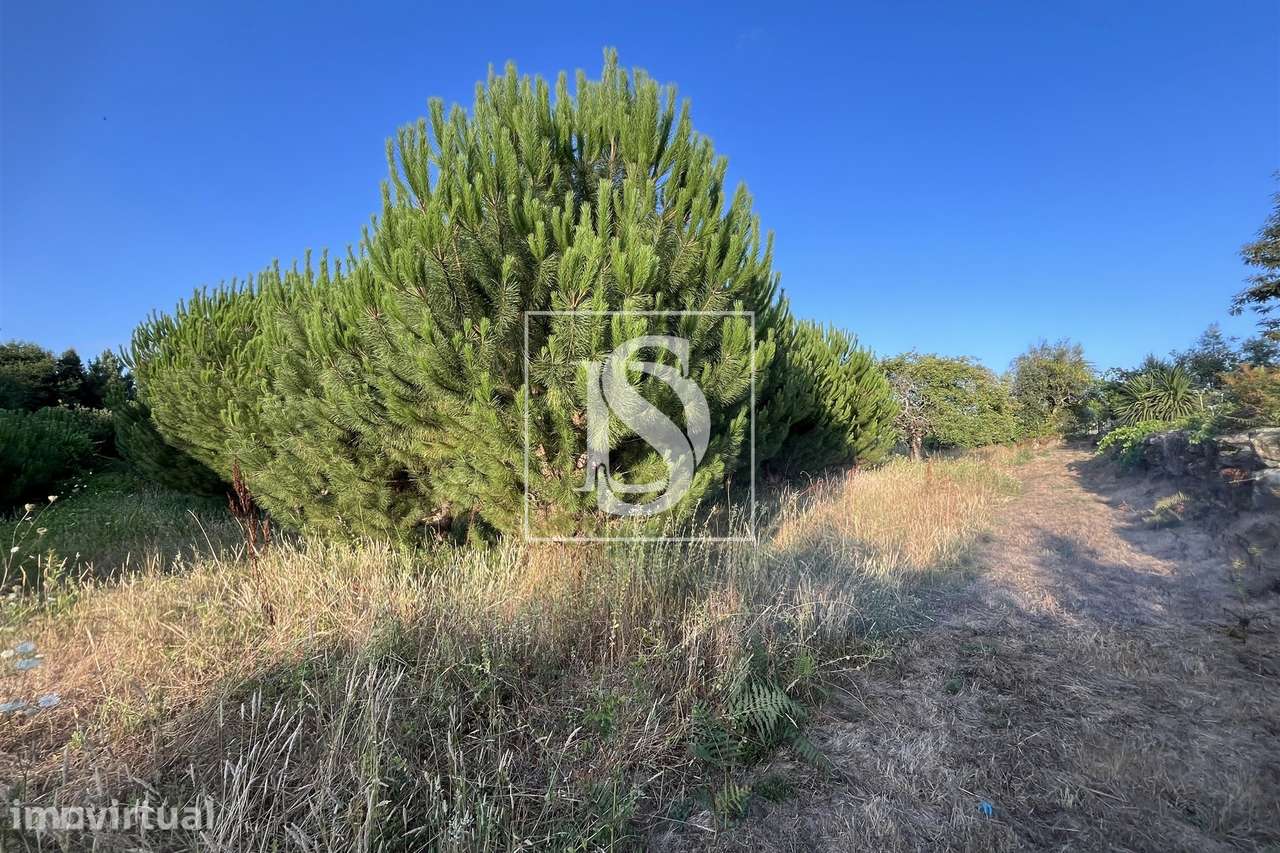 Terreno  Venda em Canas de Santa Maria,Tondela - Grande imagem: 2/7