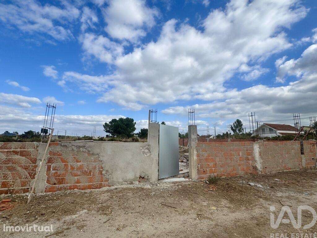 Terreno Agrícola em Quinta do Anjo - Grande imagem: 2/7