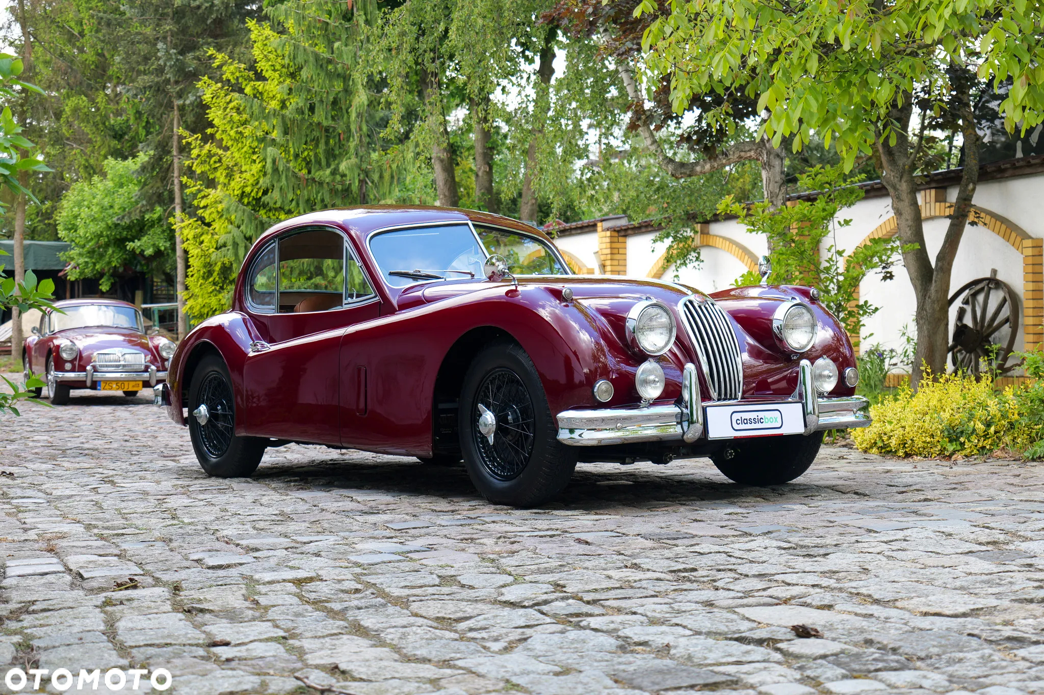 Jaguar XK - 39