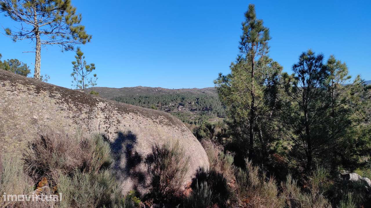 Quinta com vista deslumbrante para a Serra da Estrela 17500€ - Grande imagem: 3/22
