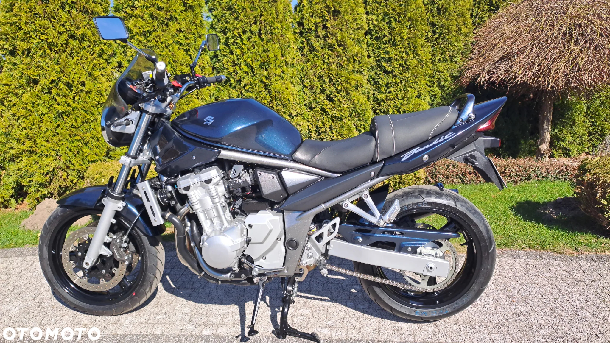 Suzuki Bandit - 5