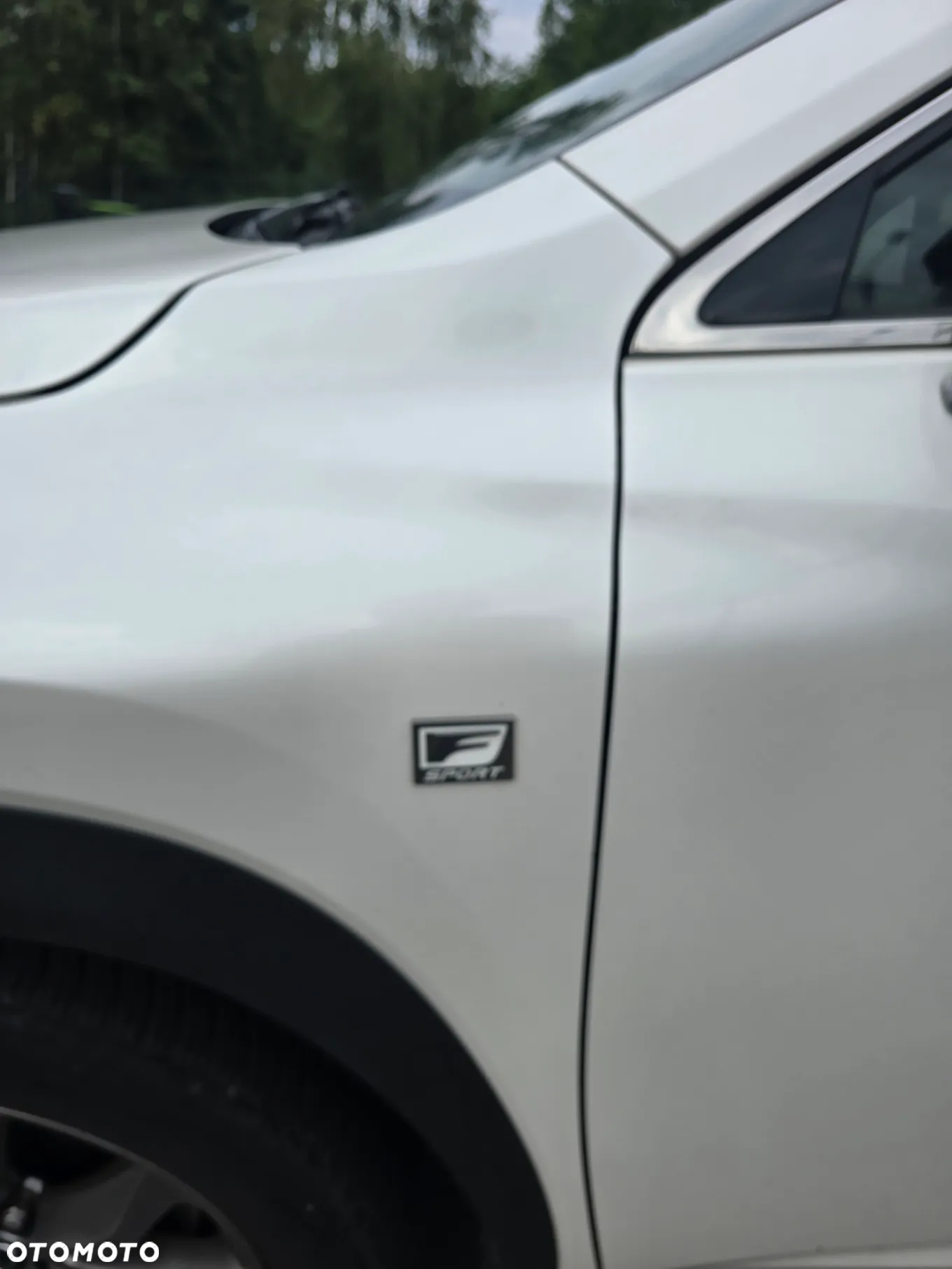 Lexus NX 300h F Sport Edition AWD - 9