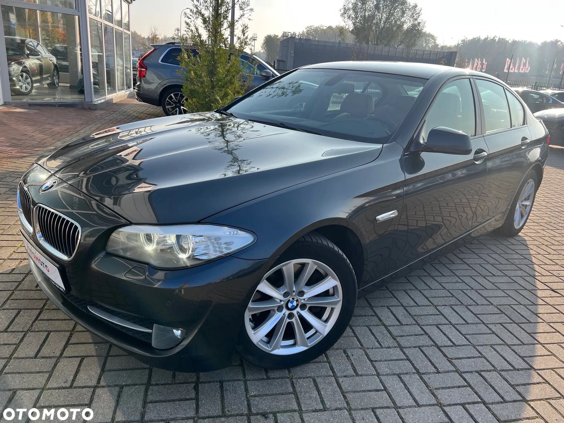 BMW Seria 5 - 1