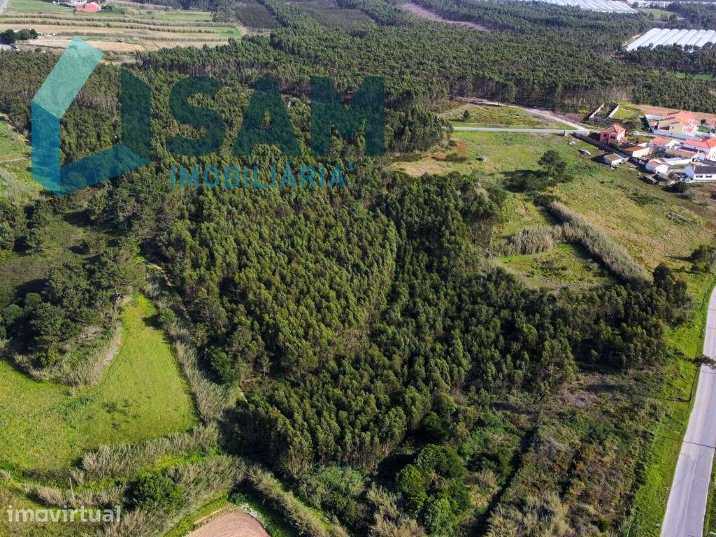 Terreno com viabilidade de desenvolvimento turístico - Grande imagem: 5/10