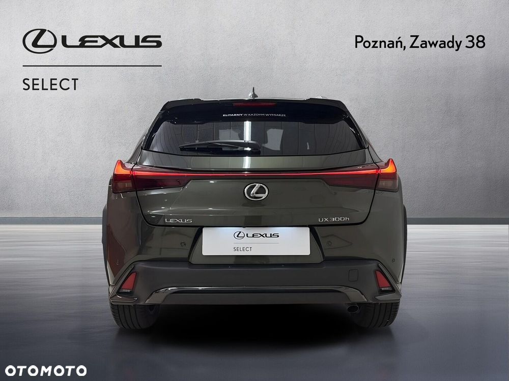 Lexus UX 300h F Sport Design - 8