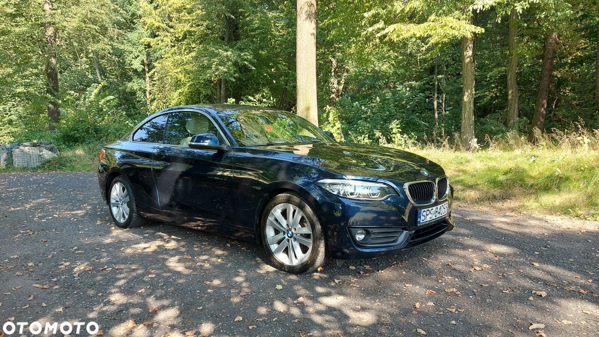 BMW Seria 2 230i Coupe Luxury Line - 1