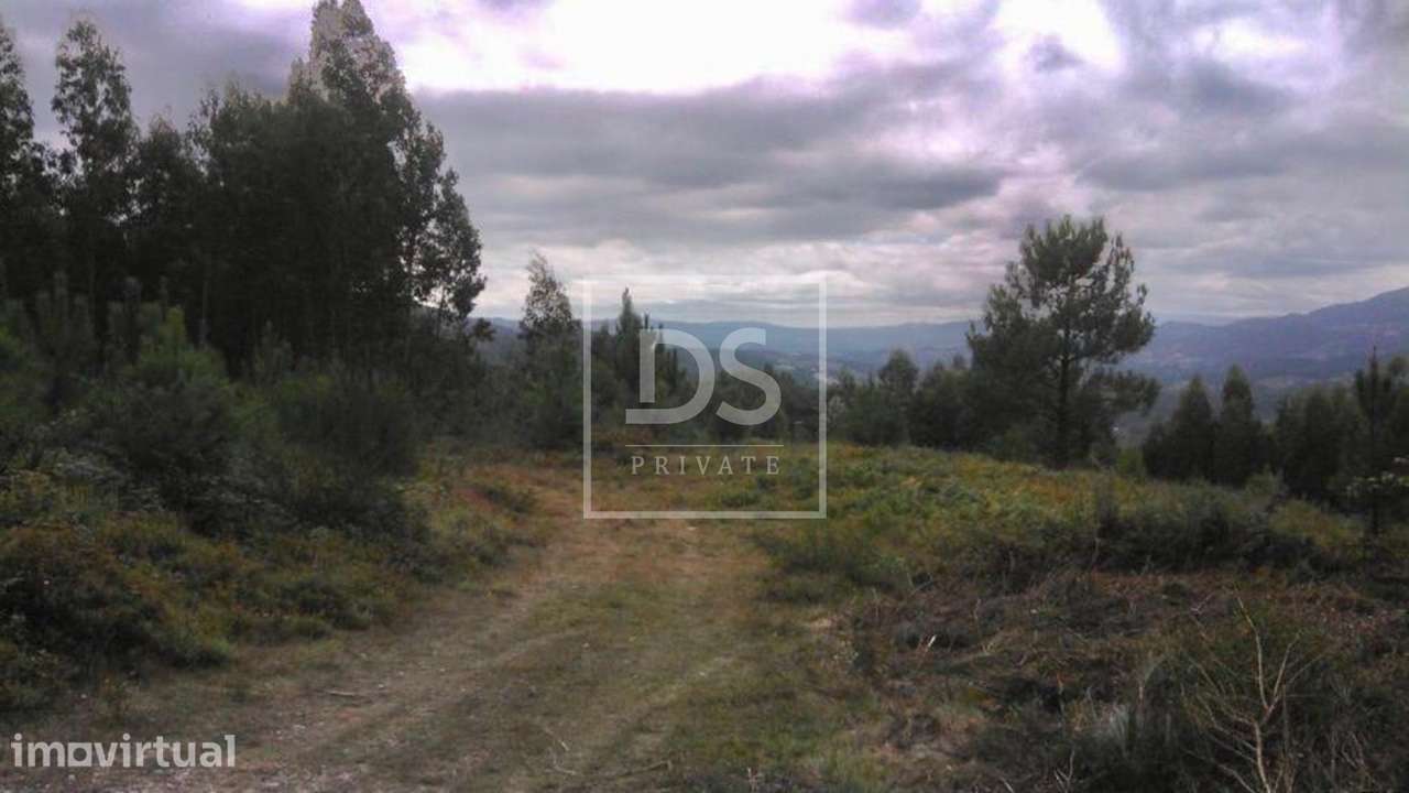 Terreno  Venda em Valdosende,Terras de Bouro - Grande imagem: 2/3