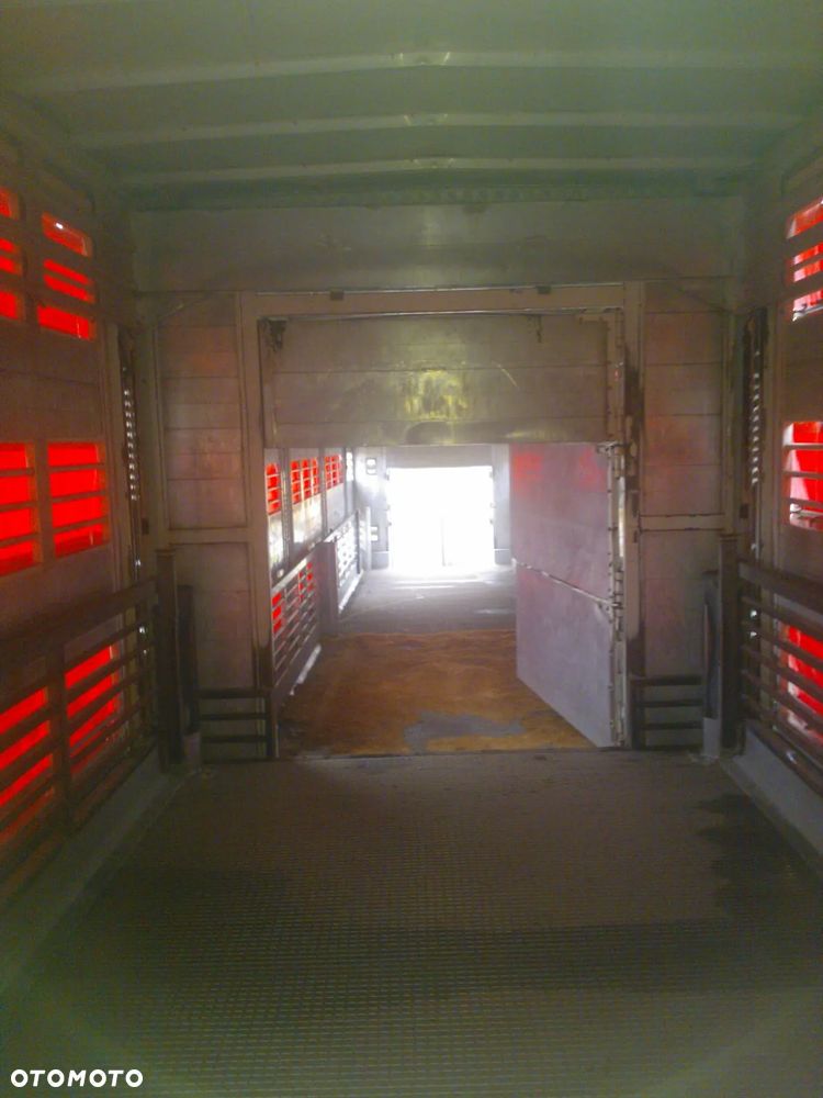 Zorzi 36s 136/19 LA - 9