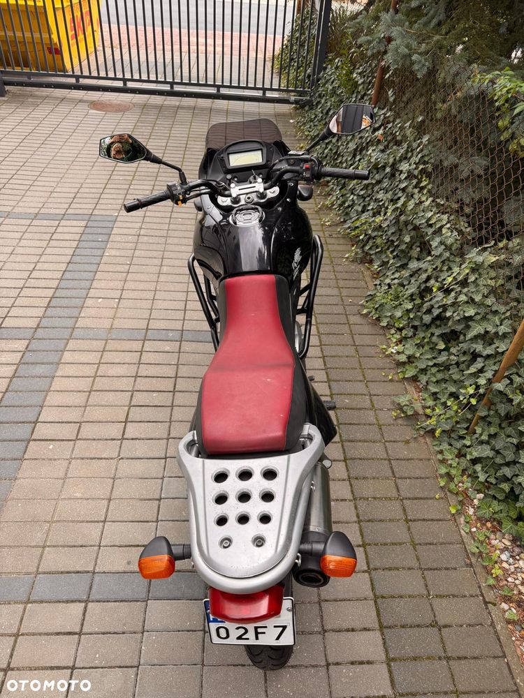 Suzuki XF - 8