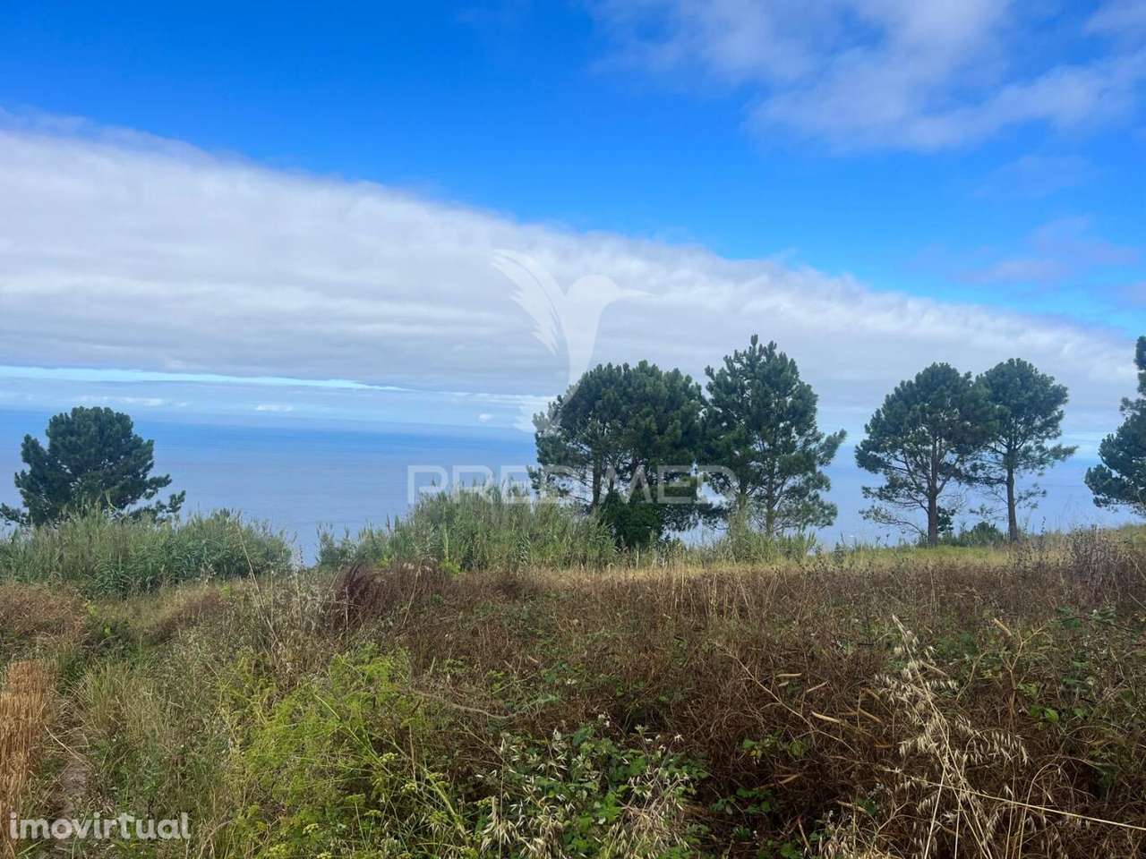 MORADIA PARA RECUPERAR NA CALHETA-PRAZERES COM 1.250M2 DE TERRENO - Grande imagem: 2/8
