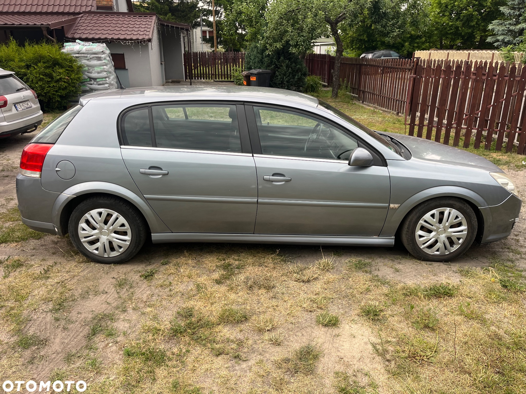 Opel Signum 1.9 CDTI - 8