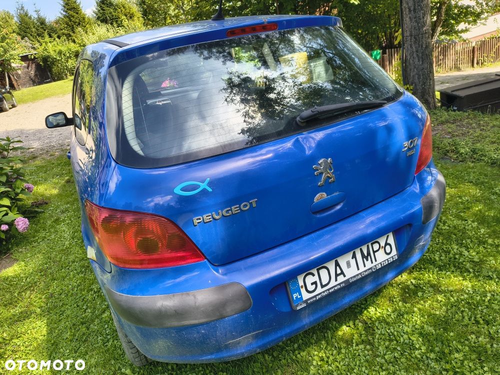 Peugeot 307 - 4