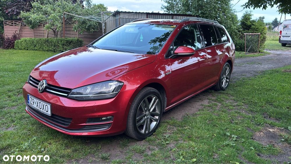 Volkswagen Golf - 1