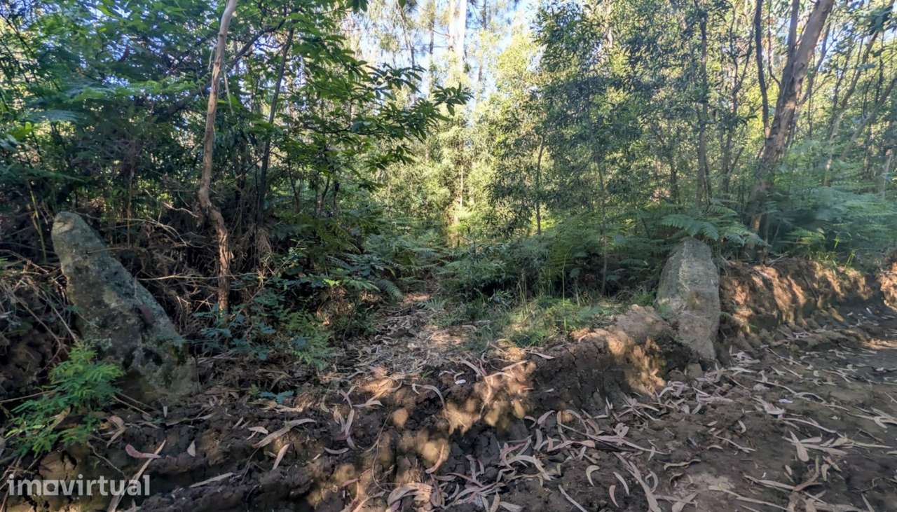 Venda de Terreno com 3300 m2, Modivas, Vila do Conde - Grande imagem: 5/11