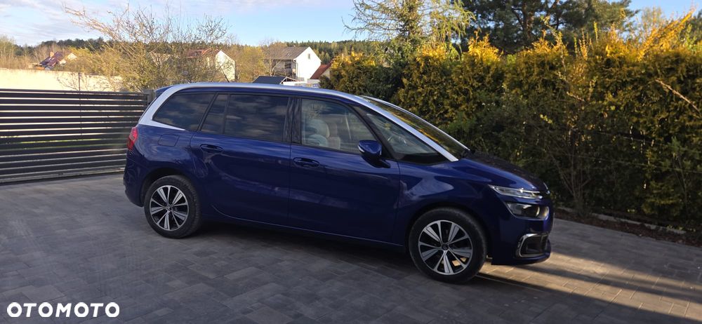 Citroën C4 Grand Picasso 1.6 BlueHDi MoreLife - 7