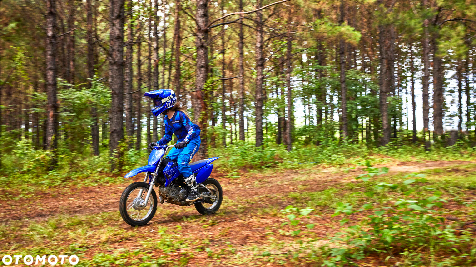 Yamaha TTR - 7