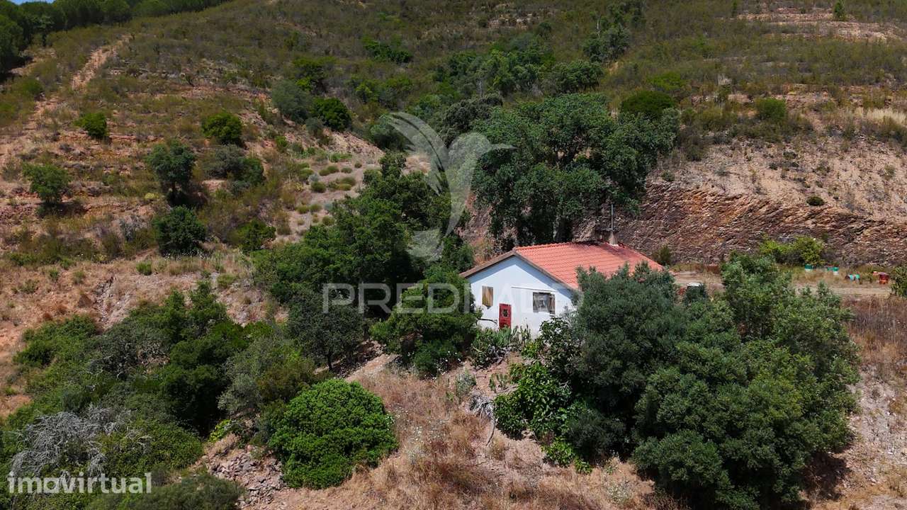 Quinta, Monte Corvo, Estiveiras - São Marcos da Serra, Algarve - Grande imagem: 3/25