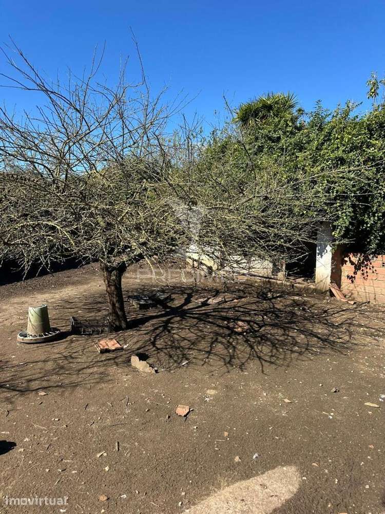 Terreno em Arrouquelas, Rio Maior - Grande imagem: 4/6