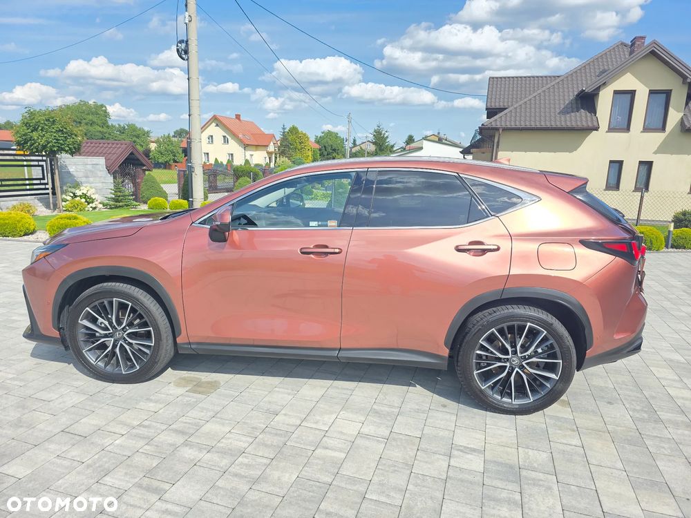 Lexus NX 350h Omotenashi AWD - 6
