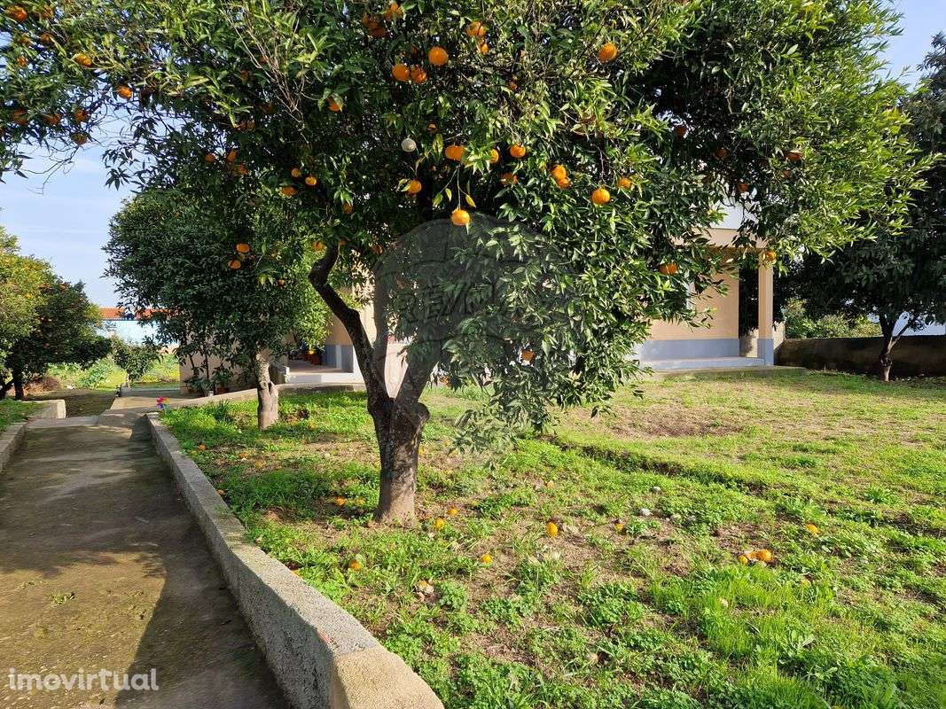 Terreno  para venda - Grande imagem: 4/18