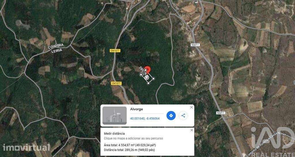 Terreno em Alvorge de 4550,00 m2 - Grande imagem: 4/9