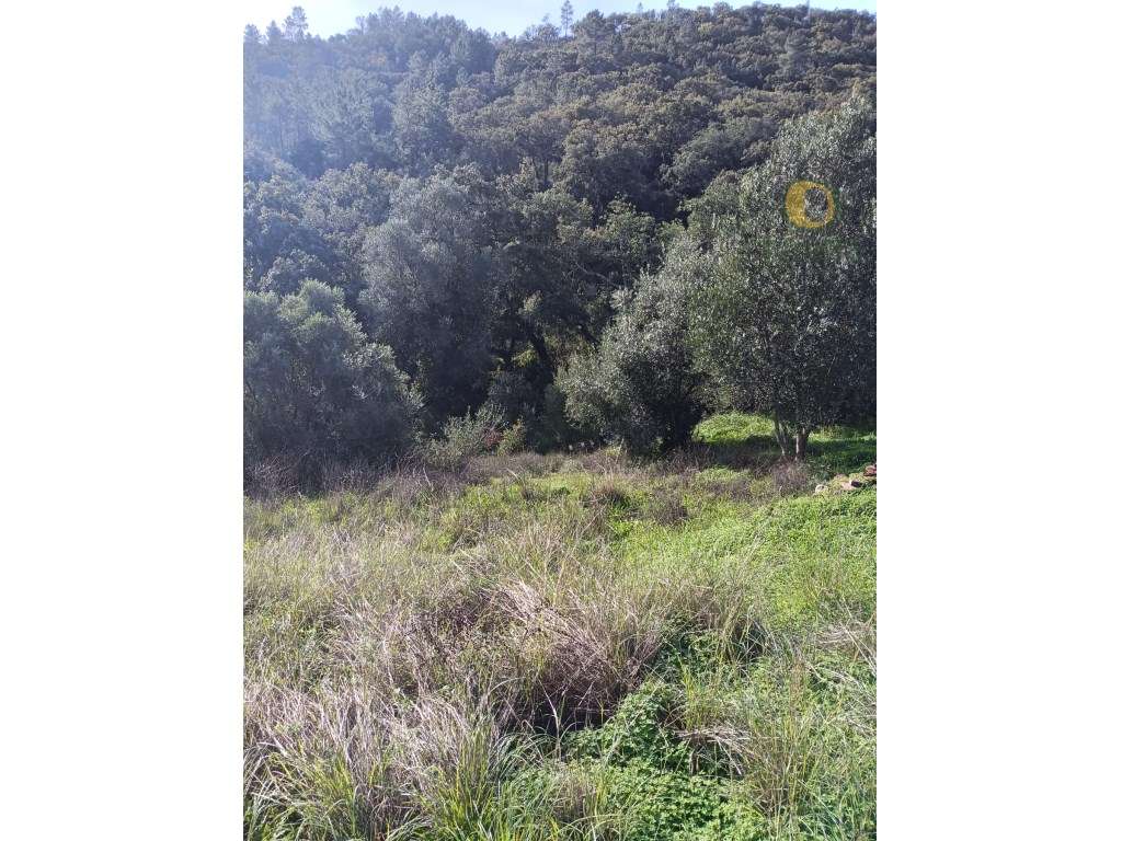 Terreno Venda Loulé - Grande imagem: 4/10