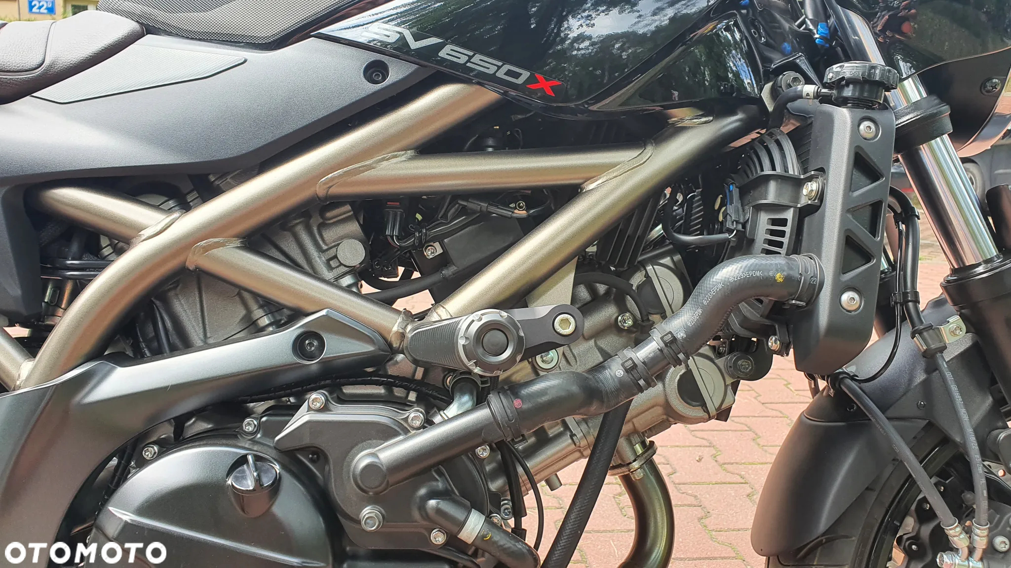 Suzuki SV - 6