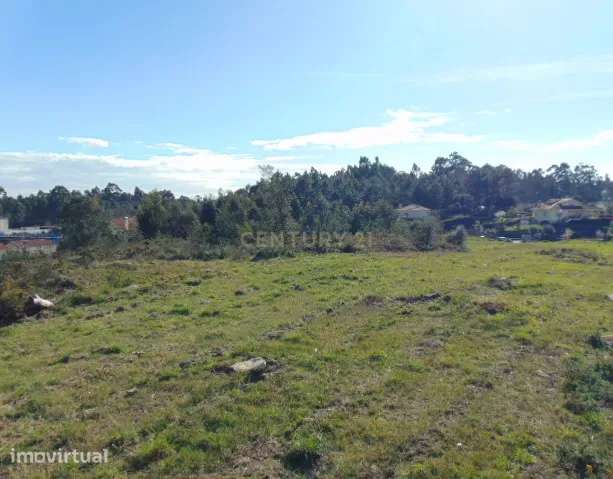 Terreno  com possibilidade de 20 lotes para construção! - Grande imagem: 5/7