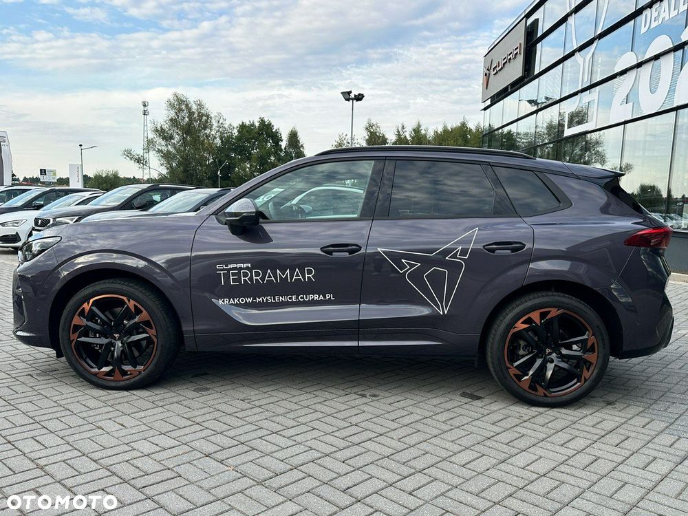 Cupra Terramar - 8