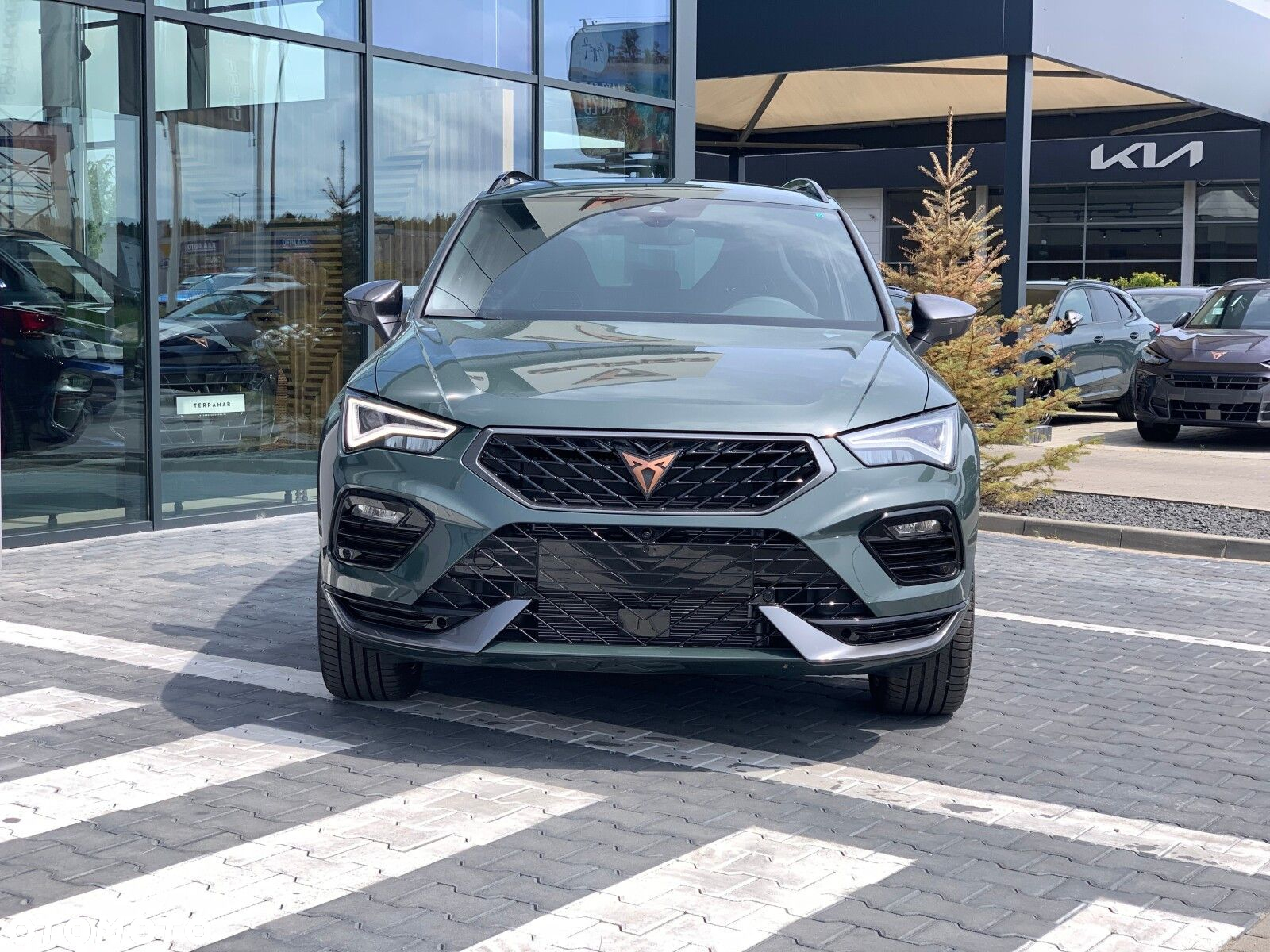 Cupra Ateca - 2