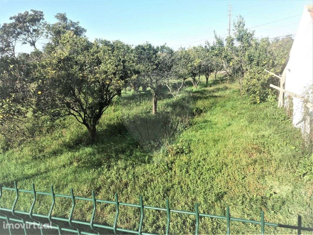 Moradia T0 para Venda - Grande imagem: 4/6