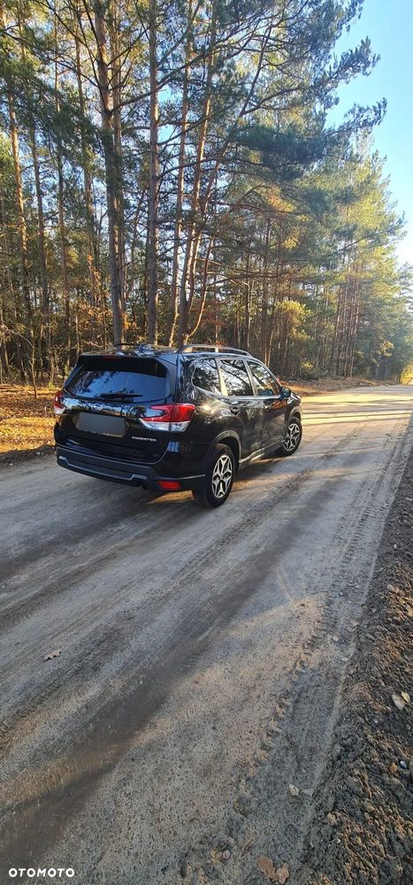 Subaru Forester - 16
